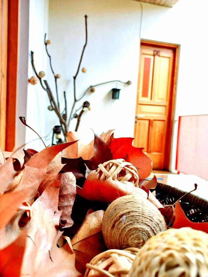 Hotel Nativo Santiago Dış mekan fotoğraf